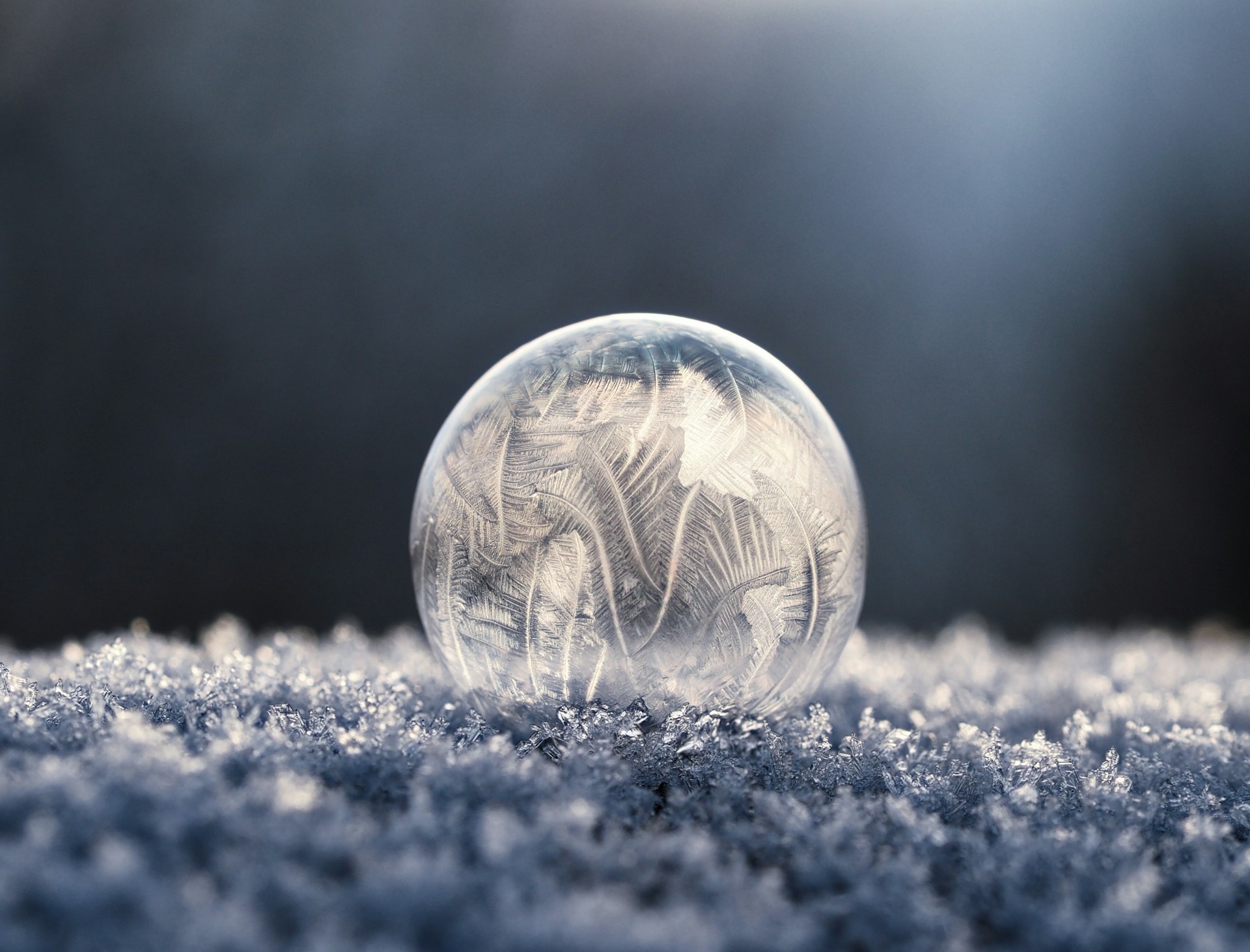 Gefrorene Seifenblase im Gegenlicht - Foto von Aaron Burden auf Unsplash