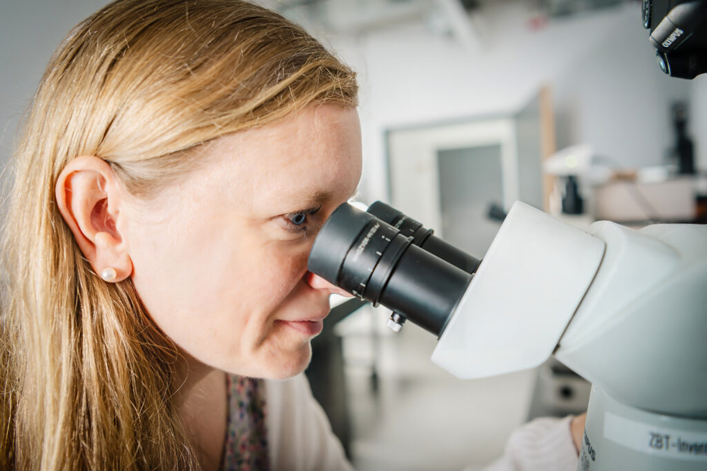 Materialeigenschaften werden im ZBT genau unter die Lupe genommen.