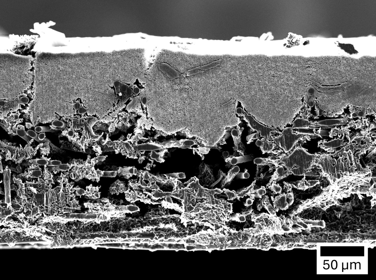 Querschnittsaufnahme einer GDL (Gasdiffusionsschicht